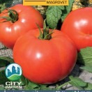 Rajčiak SULTAN F1 0,1g