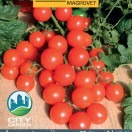 Rajčiak Cherryfalls