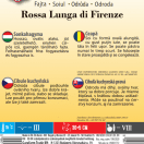 Cibuľa Rossa Lunga di Firenze 1g
