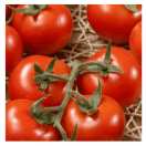 Rajčiak kolíkový Petula RZ F1 100s