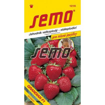 SEMO Jahoda vekoplodá GRANDIAN F1 12s