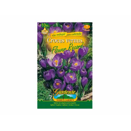 Krókus /Crocus Vernus/- Flower Record 10ks
