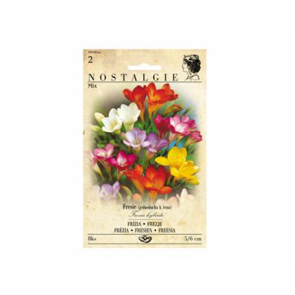 Freesia jednoduchá SINGLE zmes 8ks