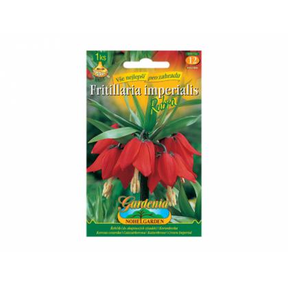 Fritillaria(korunkovka) -Rubra 1ks