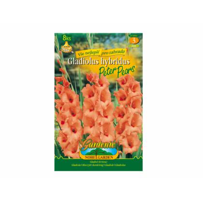 Gladiola veľkokvetá PETER PEARS 8ks