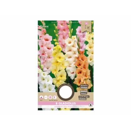 Gladiolus PASTEL ZMES 8ks