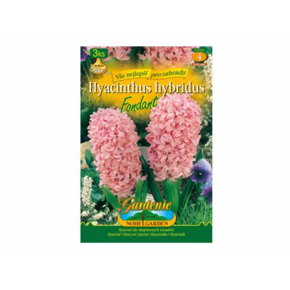 Hyacint Fondant 3ks 