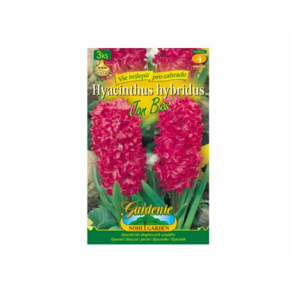 Hyacint Jan Bos 3ks 