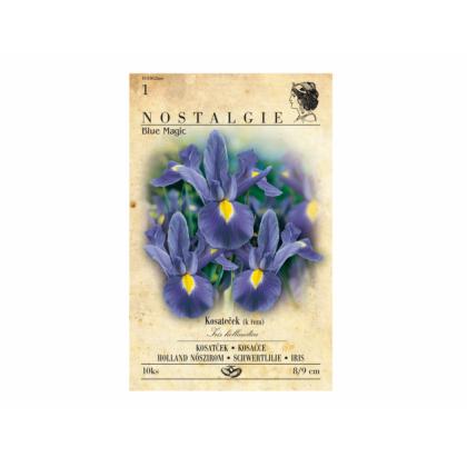 Iris MAGIC BLUE 10ks