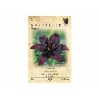 Lilium MAPIRA 1ks