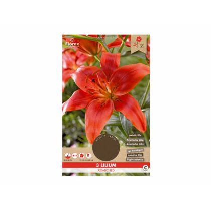 Lilium asiatic - Red 3ks