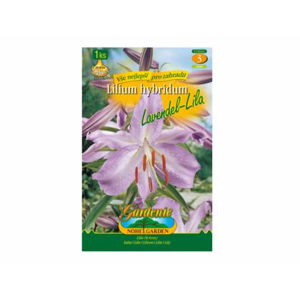 Lilium LAVENDEL-LILA 1ks