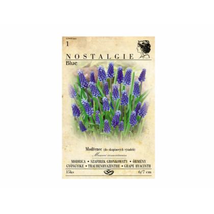 Modrica /Muscari/ 15ks