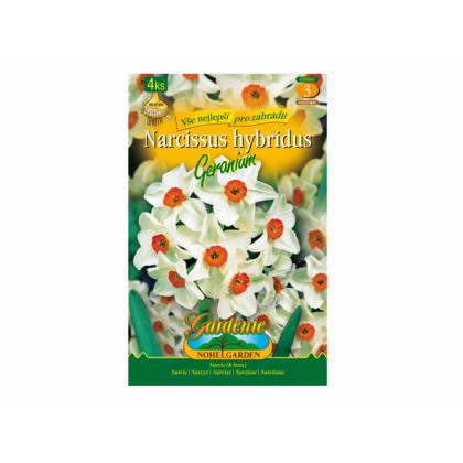 Narcis botanický - Geranium 4ks