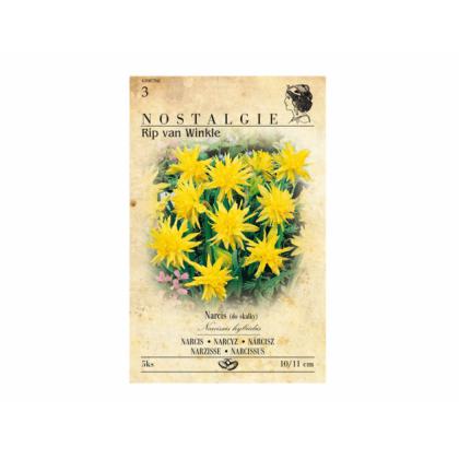 Narcis- Salome 4ks