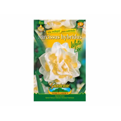 Narcis- White Lion 4ks