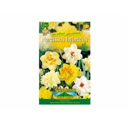 Narcis mix 5ks