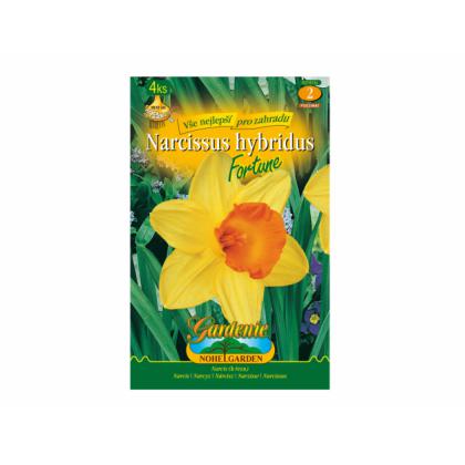 Narcis- Fortune 4ks