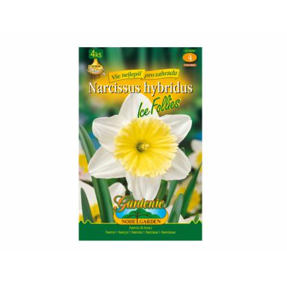Narcis- Ice Follies 4ks