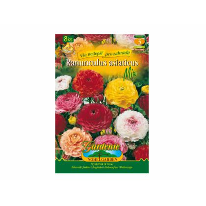 Ranunculus mix 8ks