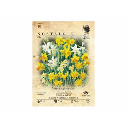 Narcis botanický, zmes 25ks