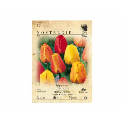 Zmes Ekonomik tulipány, Darwinovy hybridy 20ks