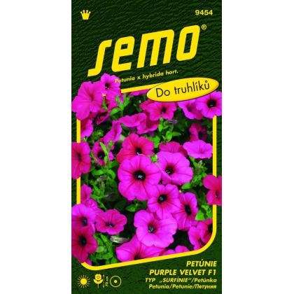 Petúnka Purple Velvet F1 (typ surfinie) 10 peliet