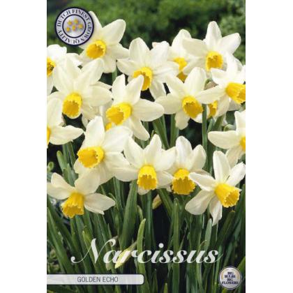 Narcis Cyclamineus- Golden Echo 7ks