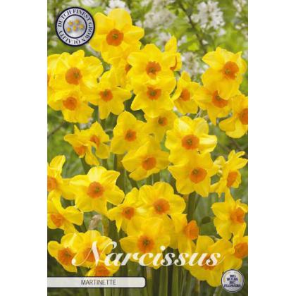 Narcis Botanical- Martinette 7 ks