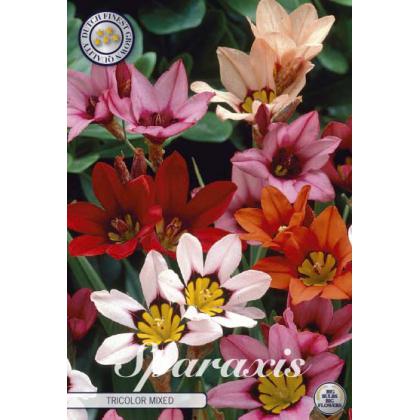Sparaxis mix 20ks Sparaxis mix 20ks