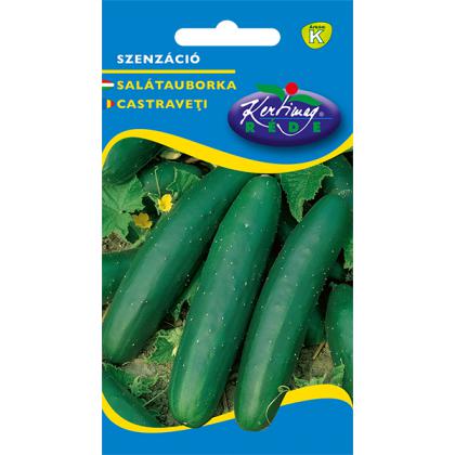  Uhorka šalátová Szenzáció 2g