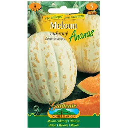 Melón cukrový Oranje ANANAS 9s