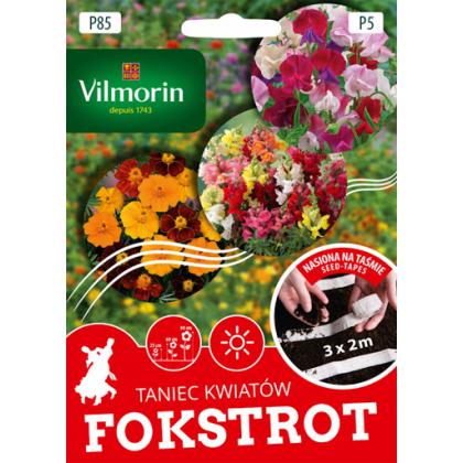 P85 Kolekcia semien na pásiku FOKSTROT - 6,2g