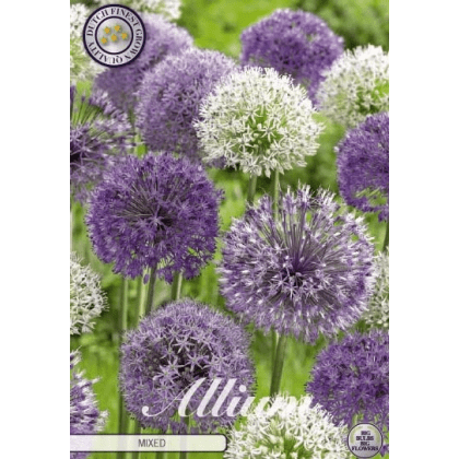 Allium - Mixed 5ks