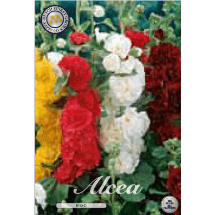 Alcea - Mixed 3ks