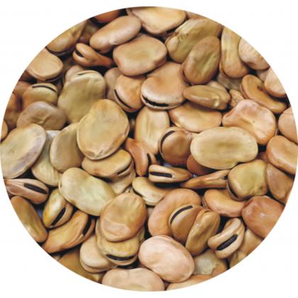 Bôb záhradný SUPERAGUADULCE - 150g 