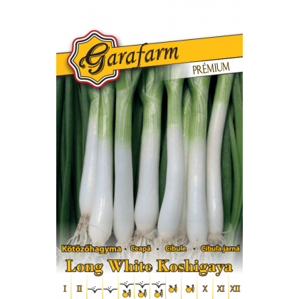 Cibuľa Long White Koshigaya 1g