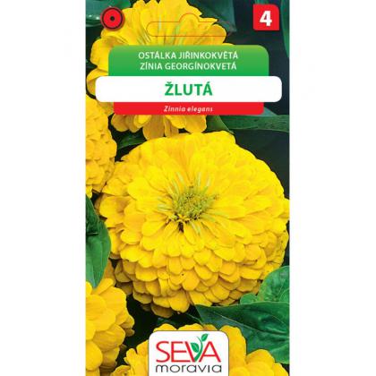 Cínia žltá - 1g