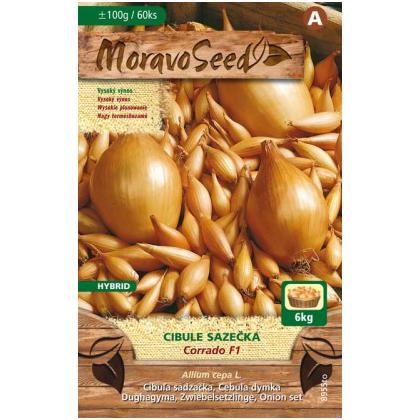 Cibuľa sadzačka Corrado F1 - 0,1kg