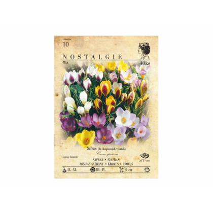 Krókus /Crocus Botanical/- Mix 40ks