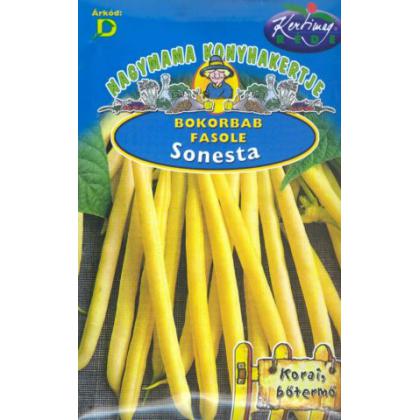 Fazuľa kríčková - SONESTA 50g