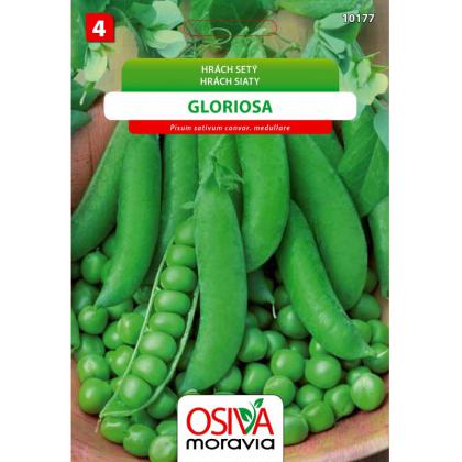 Hrach GLORIOSA -skorý 40g