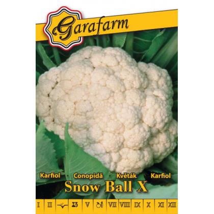 Karfiol letný Snow Ball X 1g
