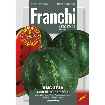 Melón červený MINI BLUE F1 - 0,25g