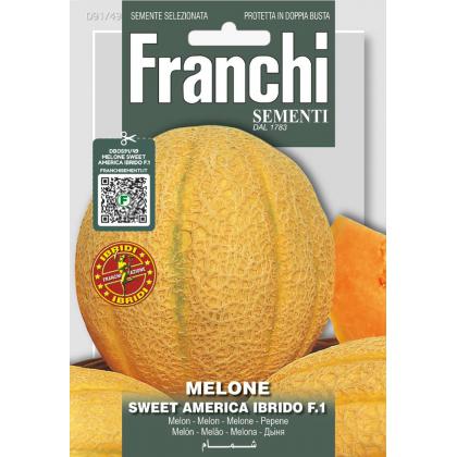 Melón cukrový SWEET AMERICA F1 0,3g
