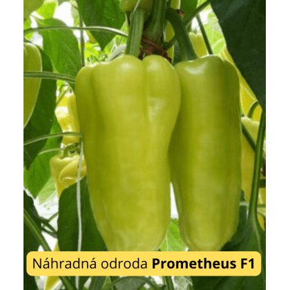 Paprika POSONIUM F1- 50s