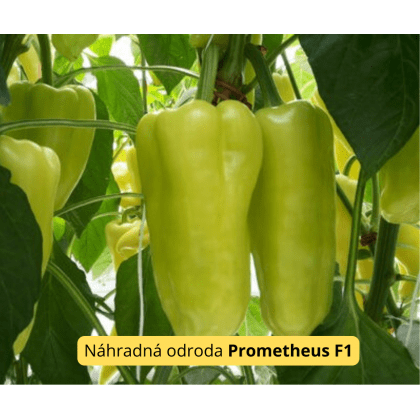 Paprika POSONIUM F1 - 250s