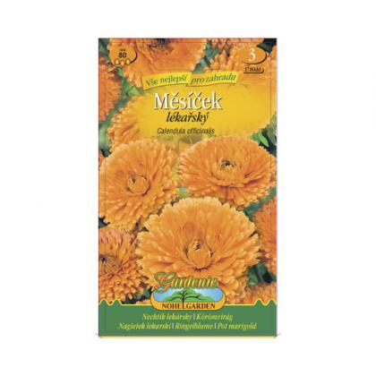 Nechtik lekársky - 80s