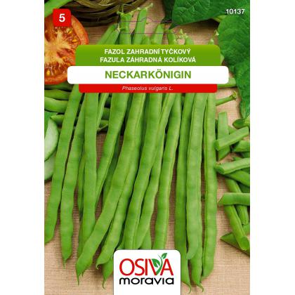 Fazuľa tyčová - NECKARKÖNIGIN 15g