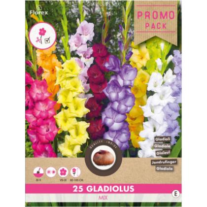 Gladiola Select Mix 25 ks